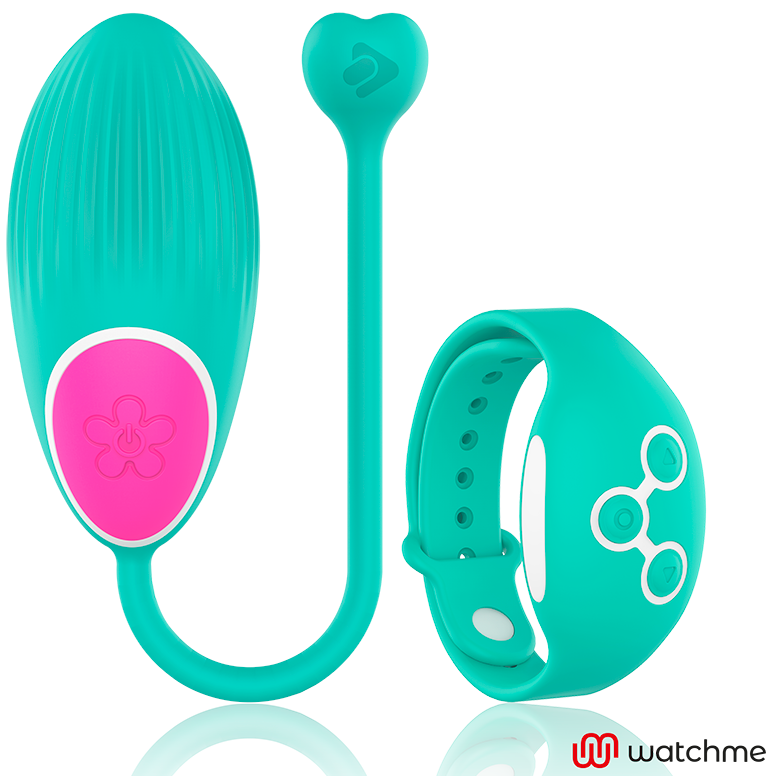 WearWatch - experiență interactivă cu control la distanță